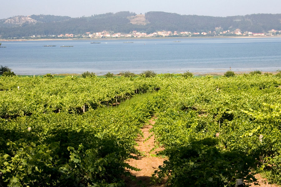 Excursión privada a Rías Baixas